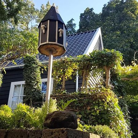 فيلا Tiny House ثولين المظهر الخارجي الصورة